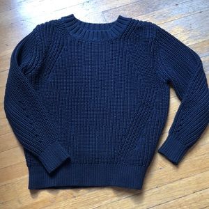 Everlane chunky knit crew neck sweater